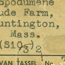 Spodumene - image 6