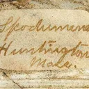 Spodumene - image 3