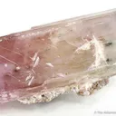 Spodumene (Floater) - image 2