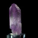 specimen video