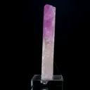 specimen video