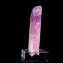 specimen video