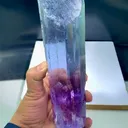 specimen video