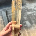 specimen video
