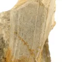 Spodumene (Muscovite/Albite Pseudo) - image 3