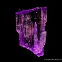 Spodumene var. Kunzite - image 4
