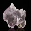 Spodumene var. Kunzite - image 2