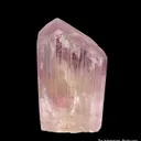 Spodumene var. Kunzite - image 2