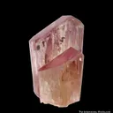 Spodumene var. Kunzite - image 4