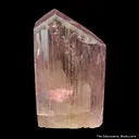Spodumene var. Kunzite - image 3