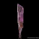 Spodumene var. Kunzite - image 1