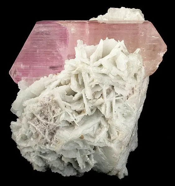 Spodumene (Var: Kunzite), Albite (Var: Cleavelandite) image