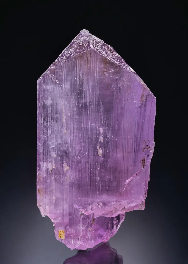 Spodumene var. Kunzite image