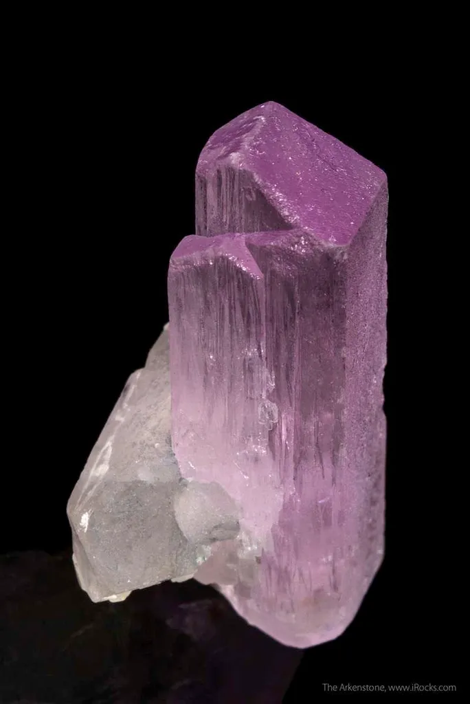 Spodumene var. Kunzite (DT) image