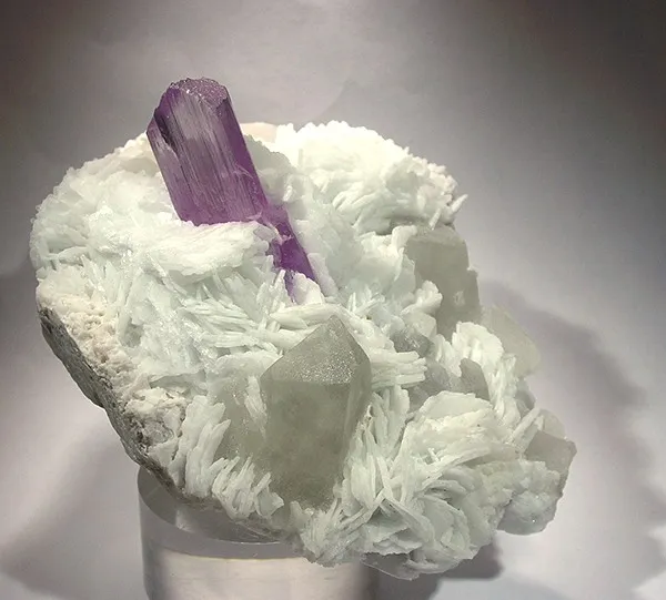 Spodumene (Var: Kunzite), Quartz, Albite (Var: Cleavelandite) image