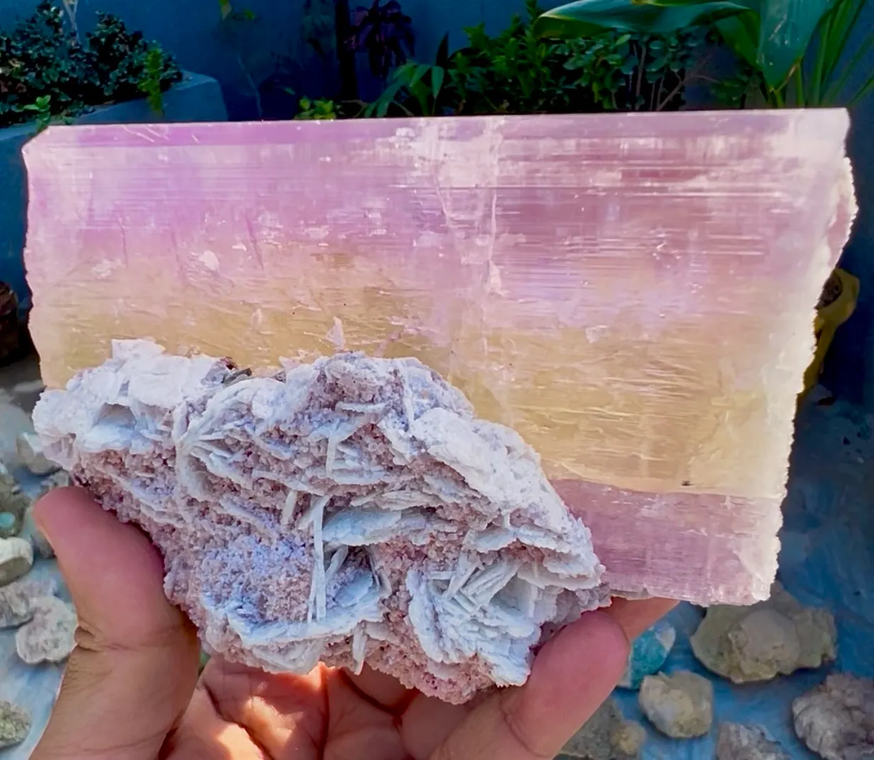 Spodumene var Kunzite with Cleavlandite Albite from Afghanistan, Nuristan - image 3