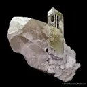 Spodumene var. Triphane on Quartz (Illustrated!) - image 4