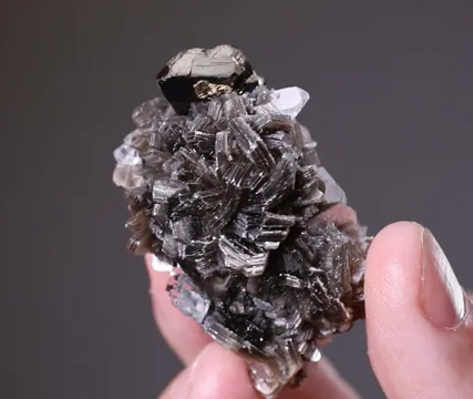 Stannite with Muscovite and Fluorite