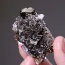 Stannite with Muscovite and Fluorite - image 2