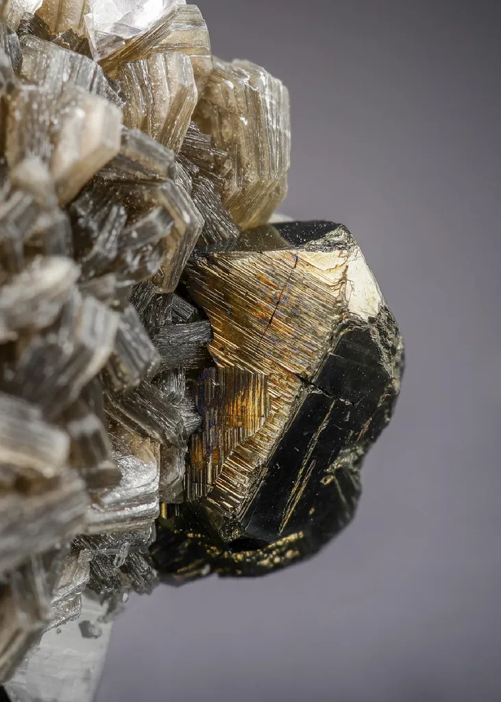 Stannite with Muscovite and Fluorite