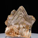 specimen video