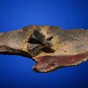 Staurolite - image 5