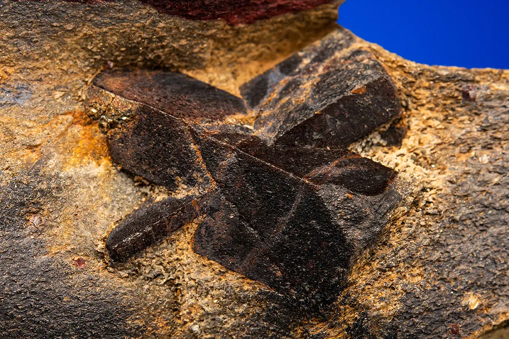 Staurolite - image 2
