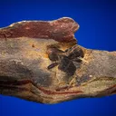 Staurolite - image 1