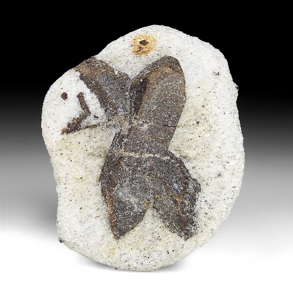 Staurolite from Kola Peninsula, Murmansk Oblast, Russia - image 1