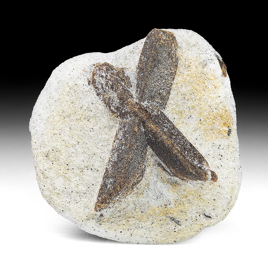 Staurolite from Kola Peninsula, Murmansk Oblast, Russia - image 1