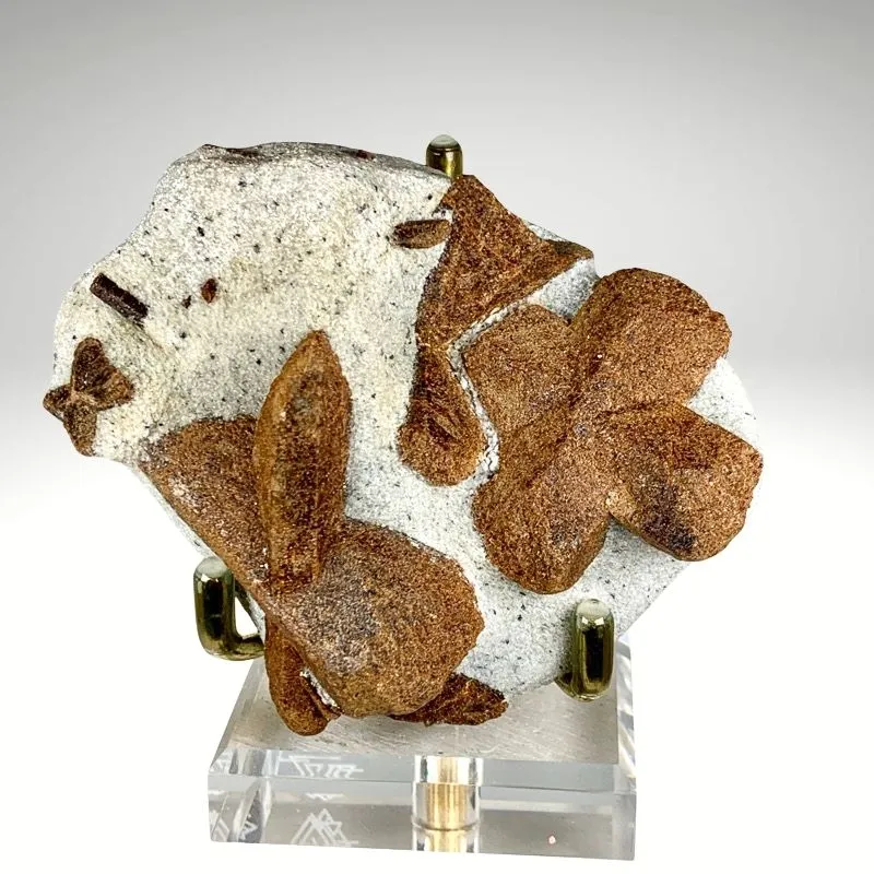 Staurolite from Russia, Murmansk Oblast, Kola Peninsula