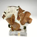 Staurolite from Russia, Murmansk Oblast, Kola Peninsula - image 1