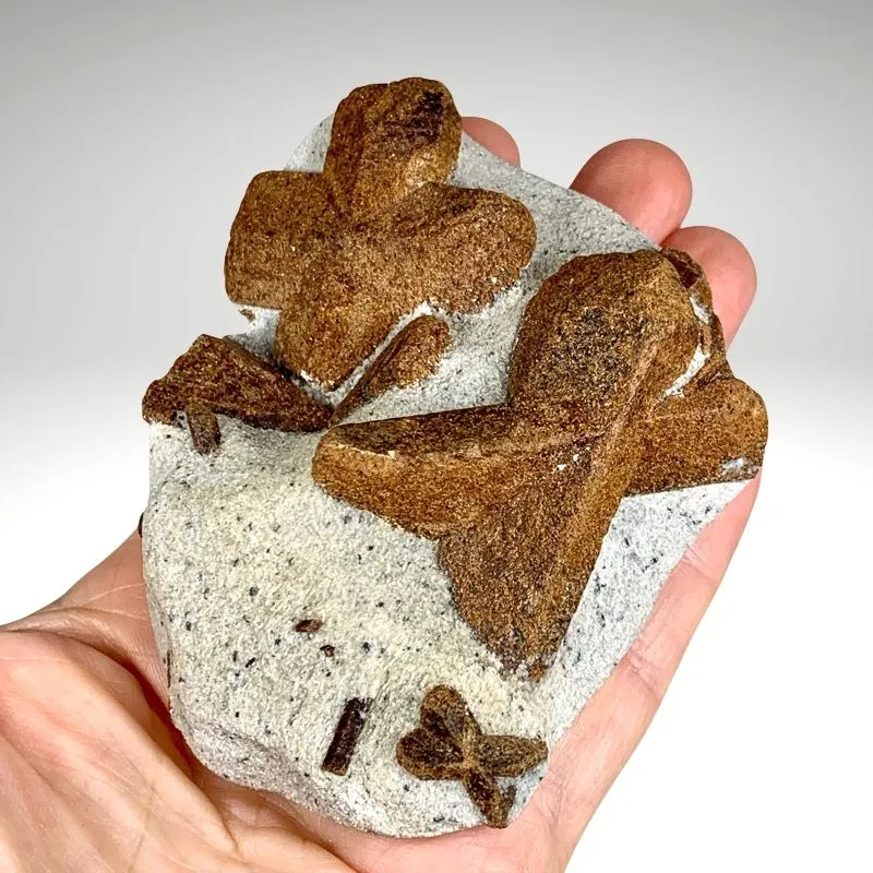 Staurolite from Russia, Murmansk Oblast, Kola Peninsula - image 2
