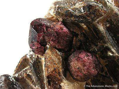 Staurolite With Almandine Garnet - image 2