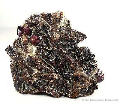 Staurolite With Almandine Garnet image