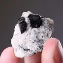 Steenstrupine-(Ce) - image 2