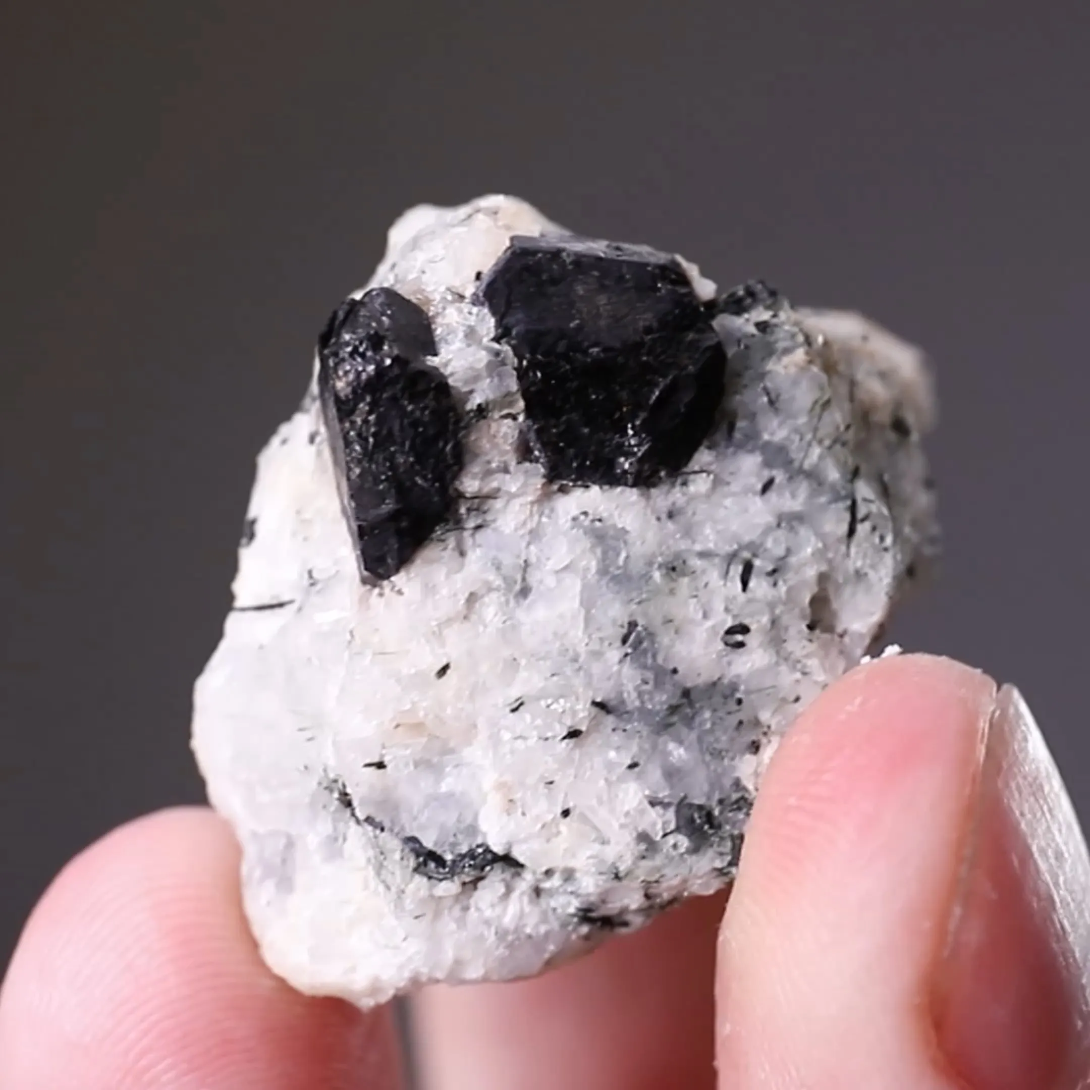 Steenstrupine-(Ce) - image 2