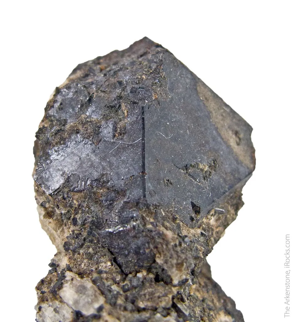 Steenstrupine image