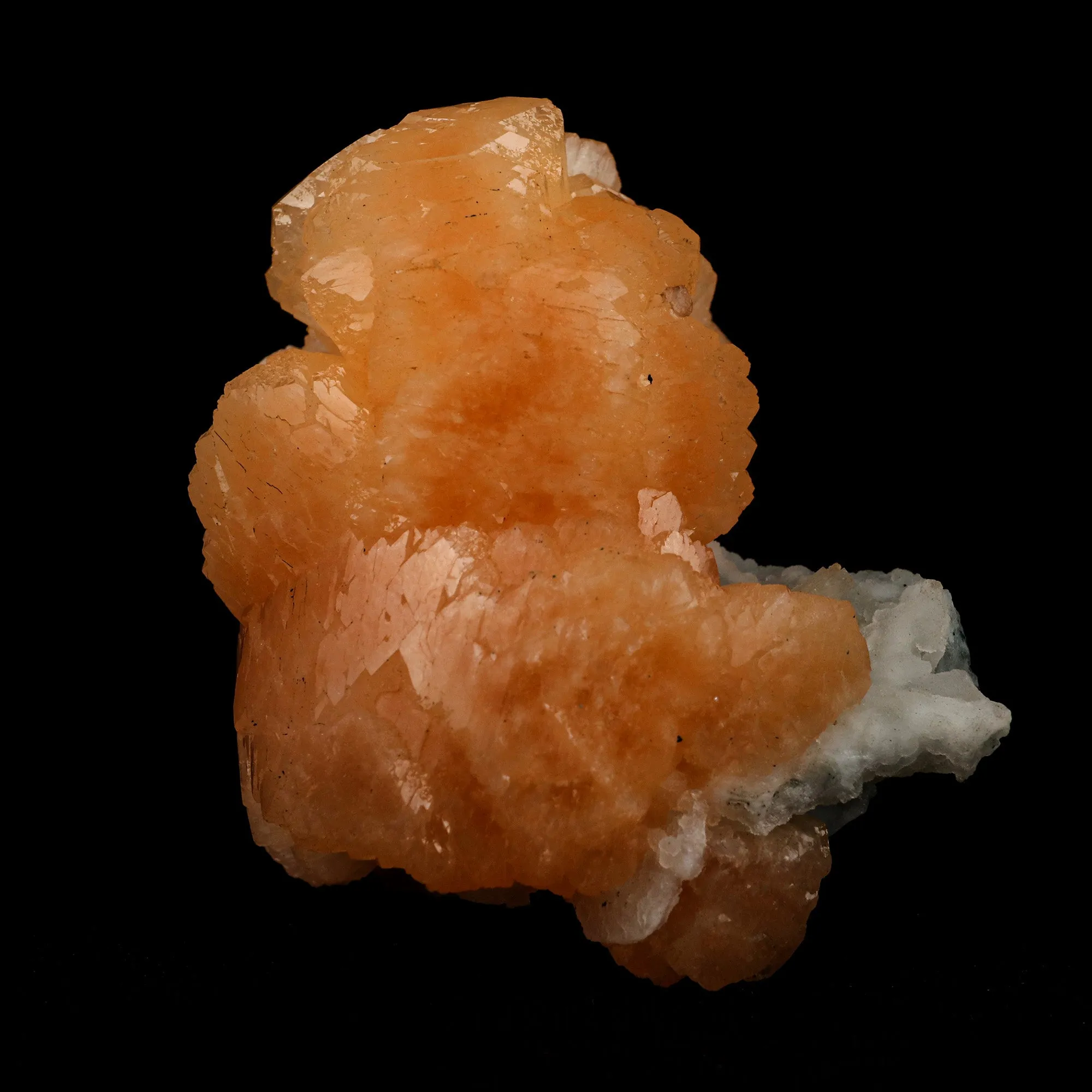 Stellerilite on Chalcedony Rare Find Natural Mineral Specimen - image 3