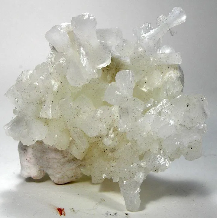 Stellerite image