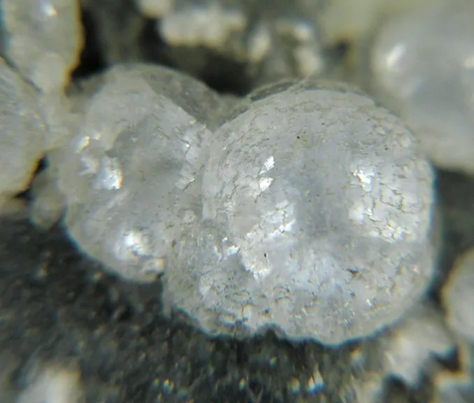 Stellerite image
