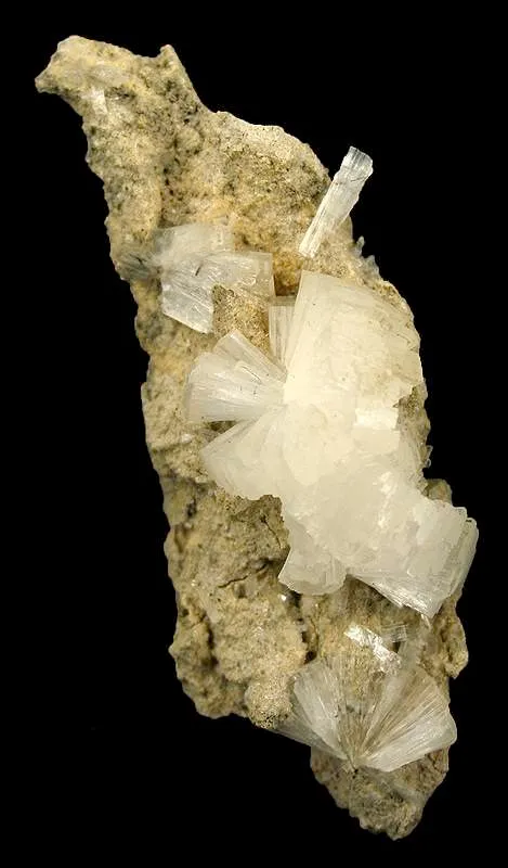 Stellerite and Calcite image