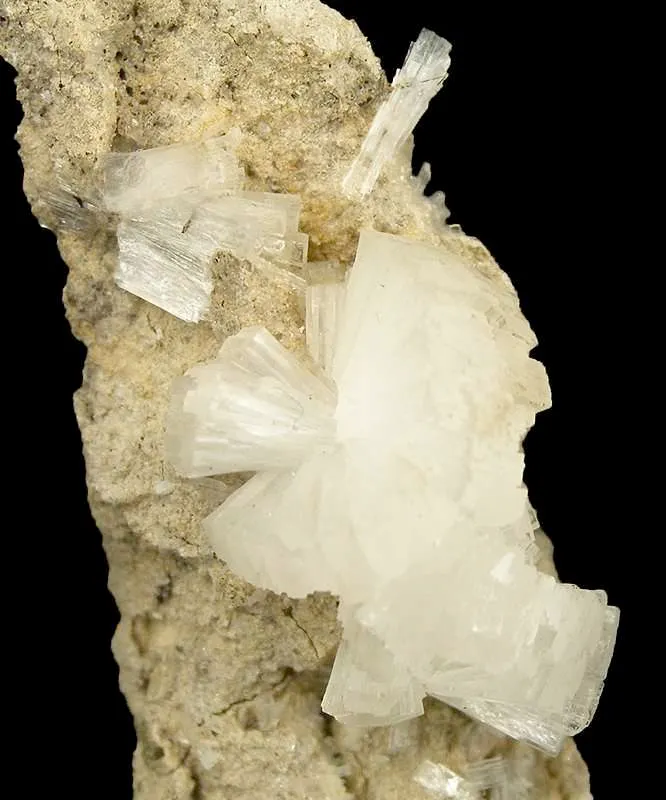 Stellerite and Calcite - image 2