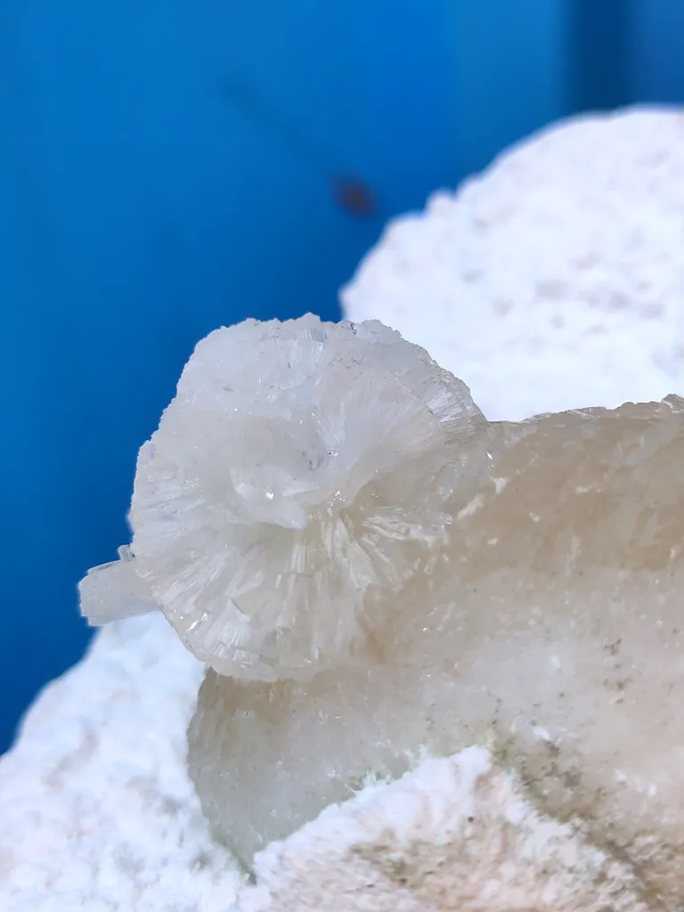 Stellerite Ball on Okenite - image 7