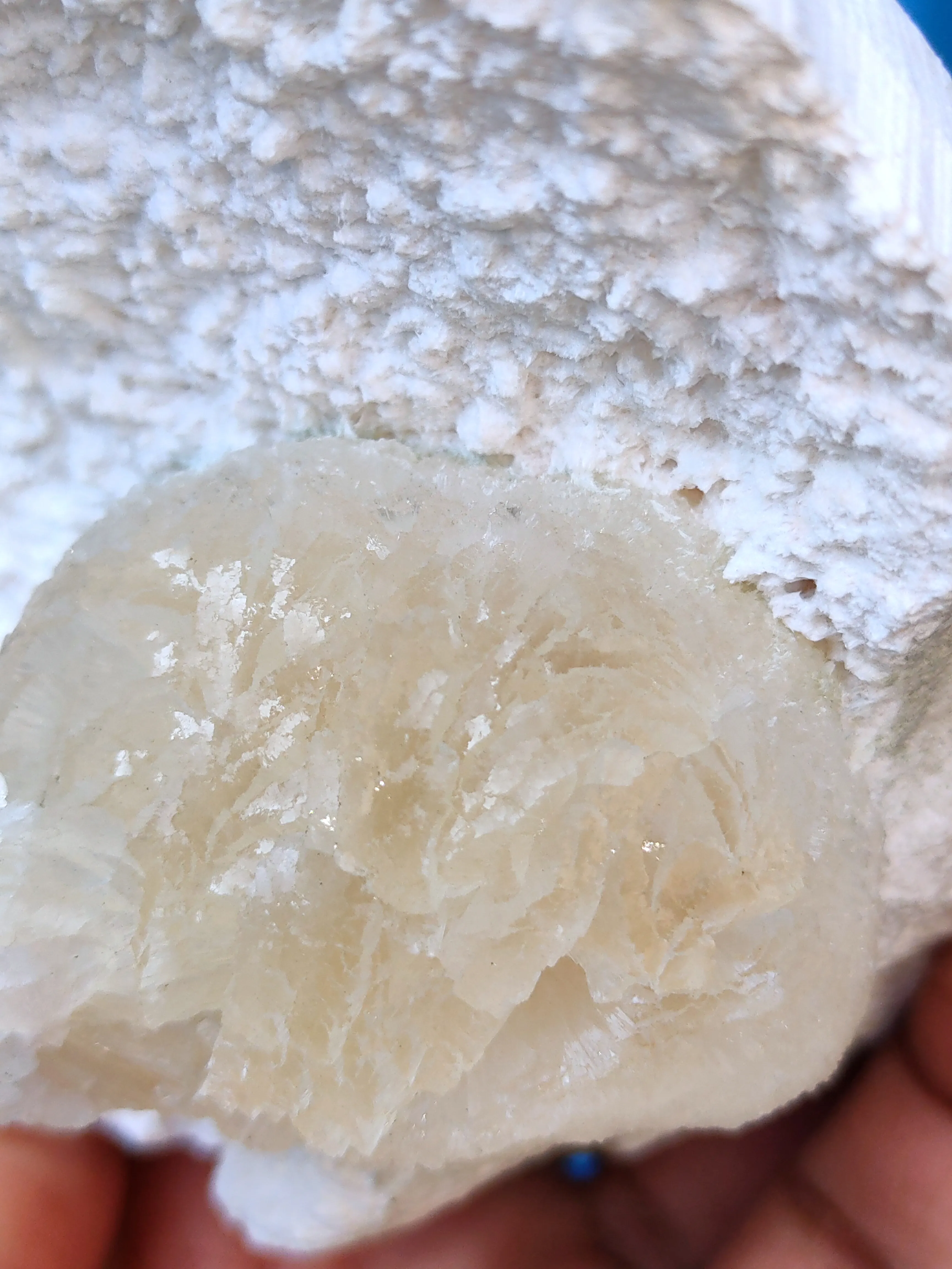 Stellerite Ball on Okenite - image 4