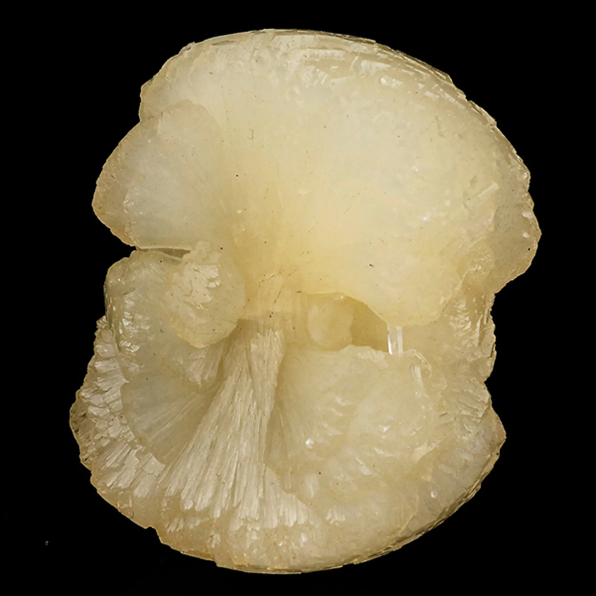 Stellerite Bow Natural Mineral Specimen - image 3