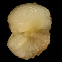 Stellerite Bow Natural Mineral Specimen - image 3