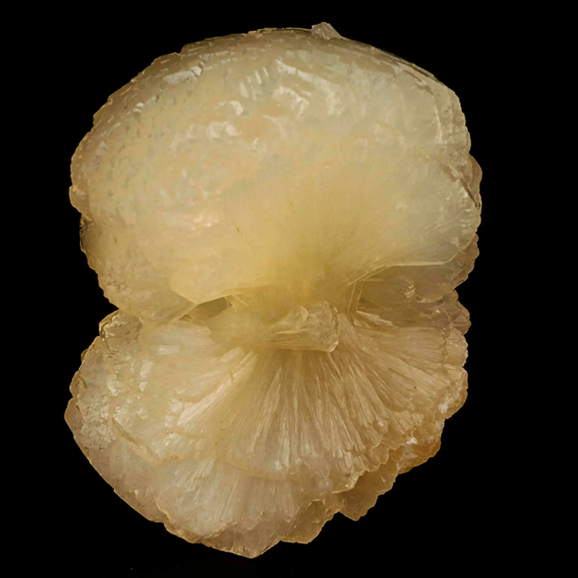 Stellerite Bow Natural Mineral Specimen - image 3