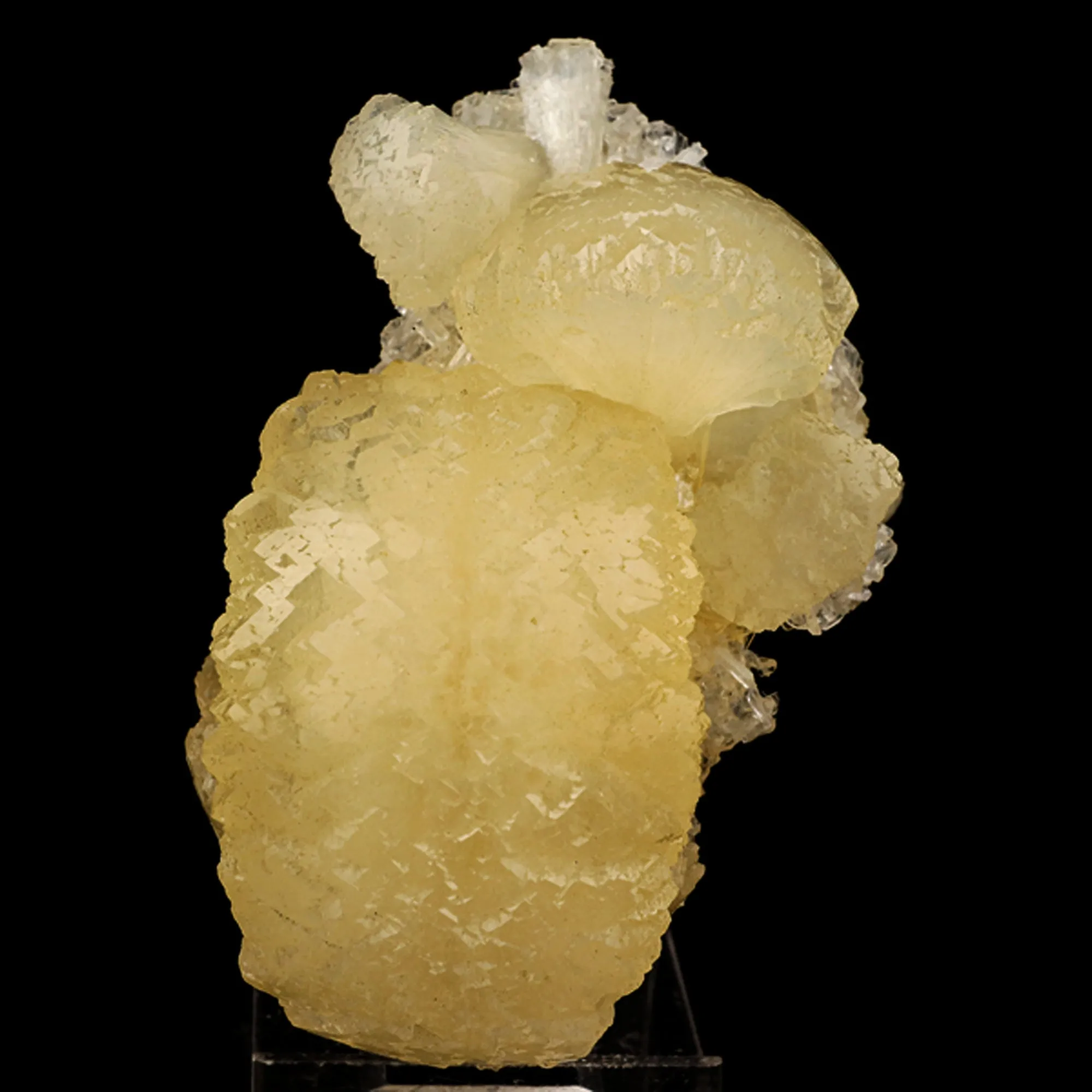 Stellerite Bow Natural Mineral Specimen - image 1