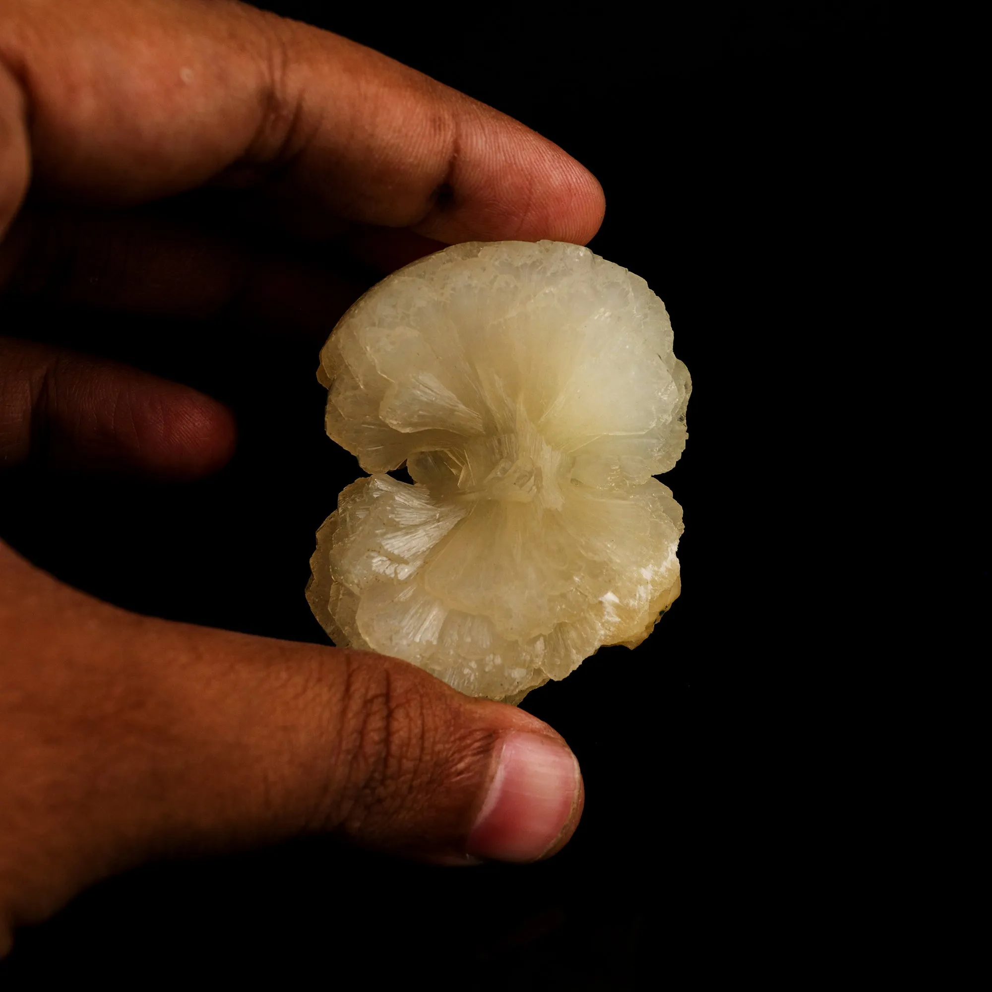 Stellerite Bow Natural Mineral Specimen - image 5